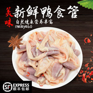 鸭食道